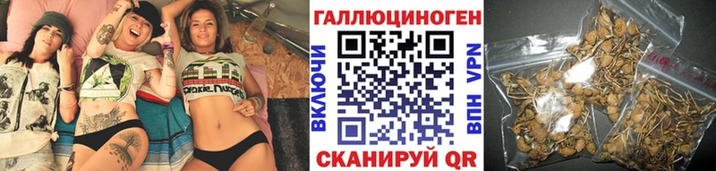 Псилоцибиновые грибы MAGIC MUSHROOMS  Тында 